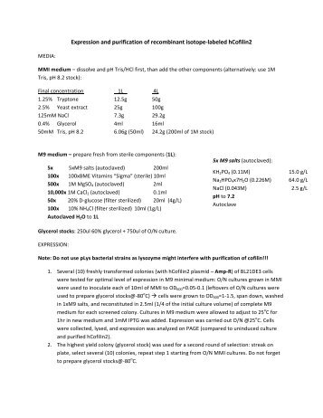 Expression and purification of recombinant isotope-âlabeled hCofilin2