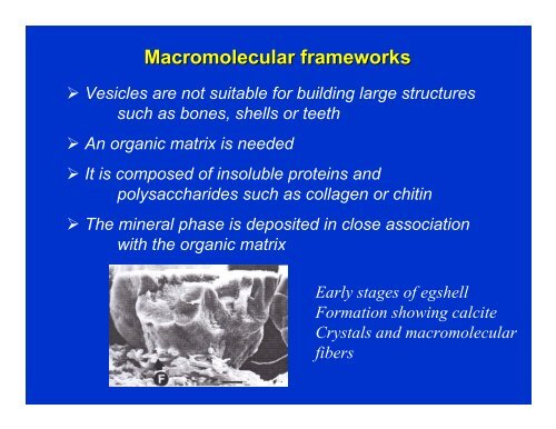 Lecture-4 (general principles of biomineralization)