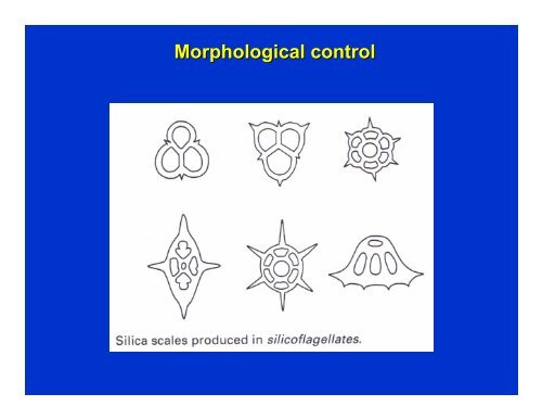 Lecture-4 (general principles of biomineralization)