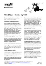 Why Should I Confine My Cat? - City of Port Adelaide Enfield - SA ...
