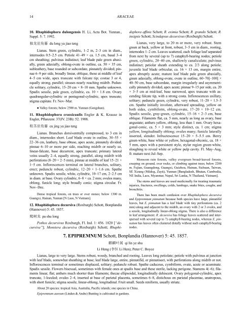 Araceae (PDF)
