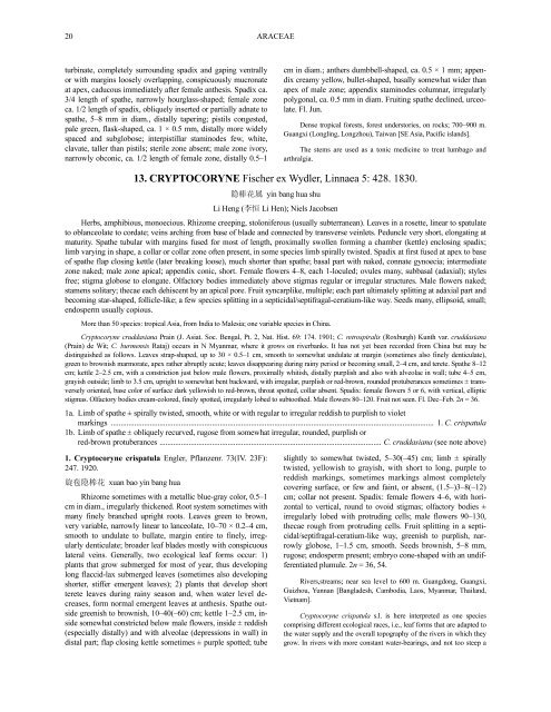Araceae (PDF)