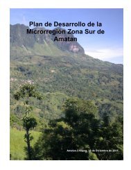 Plan de Desarrollo de la Microrregión Zona Sur de Amatan – 2011