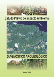 DiagnÃ³stico ArqueolÃ³gico - Cap. 8 - IPAAM