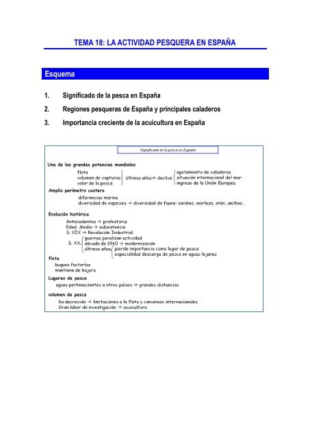 TEMA 18: LA ACTIVIDAD PESQUERA EN ESPAÃA Esquema