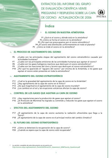 Extractos del informe del grupo de evaluaciÃ³n cientÃ­fica ... - UNEP