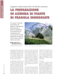 La preparazione in azienda di piante di fragola ingrossate - Riviste