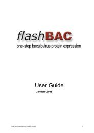 flashBAC Manual - Oxford Expression Technologies