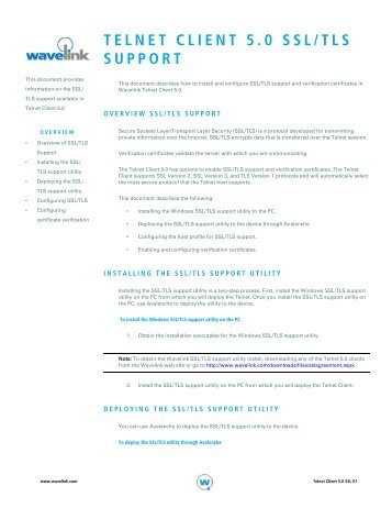 OVERVIEW SSL/TLS SUPPORT - Wavelink