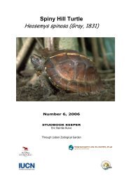 Spiny Hill Turtle Heosemys spinosa (Gray, 1831) - European ...