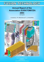 Euratom-CEA - Fusion Technology 2003 - Full report