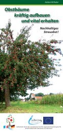 Obstbäume kräftig aufbauen und vital erhalten - Obst-am-Oberrhein
