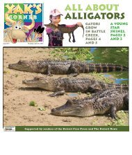 ALL ABOUT ALLIGATORS