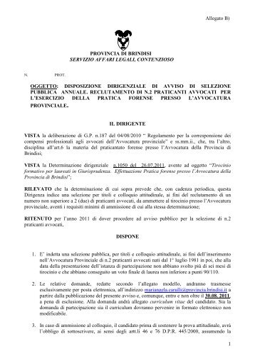 Avviso ( .pdf) - Provincia di Brindisi