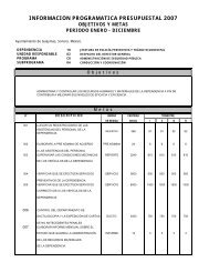 objetivos y metas por subprograma anual 2007(1) - H. Ayuntamiento ...