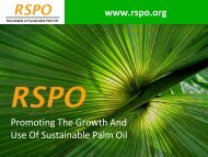 RSPO - American Palm Oil Council