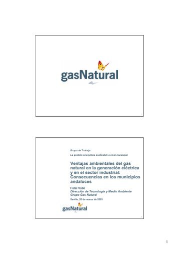 Descargar fichero - FundaciÃ³n Gas Natural Fenosa