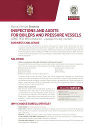 Boilers and Pressure Vessels Pdf - Bureau Veritas