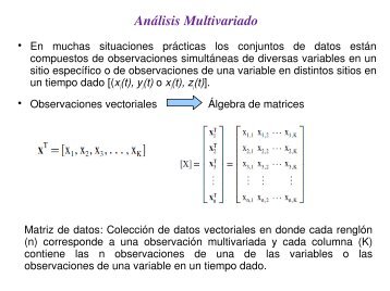 Funciones EmpÃ­ricas Ortogonales (Empirical Orthogonal Functions)