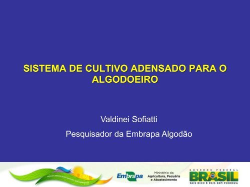 Sistema de cultivo adensado para o algodoeiro - Abrapa