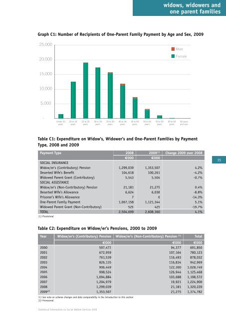 Statistical Information on Social Welfare Services 2009 - Welfare.ie