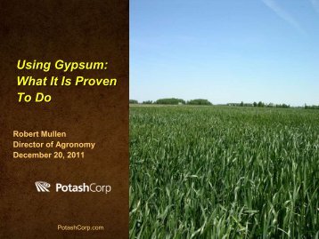 Using Gypsum: What It Is Proven To Do - Indiana CCA Program
