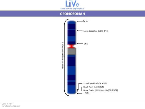 Sonda Pintado CromosÃ³mico Total 9 - Lexel