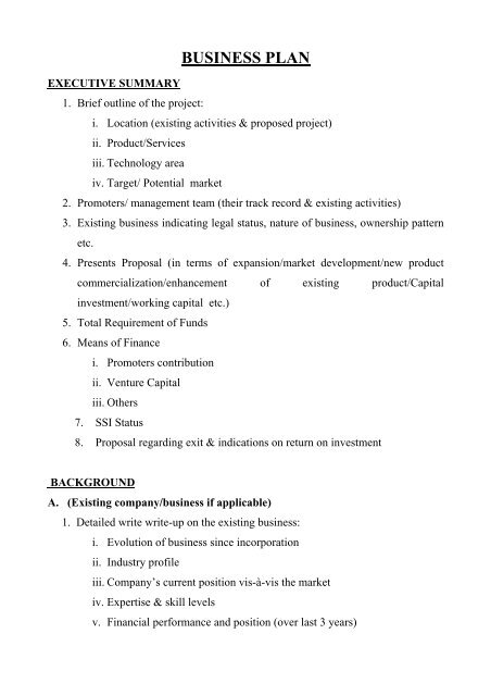 loden foundation business plan format