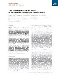 The transcription factor MEF2C is required for craniofacial ...