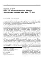 2000 Hsieh et al. Detrital flow of oyster