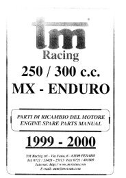 Motore (Engine) â 2T 250/300cc - TM Racing