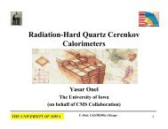 Radiation-Hard Quartz Cerenkov Calorimeters - The University of Iowa