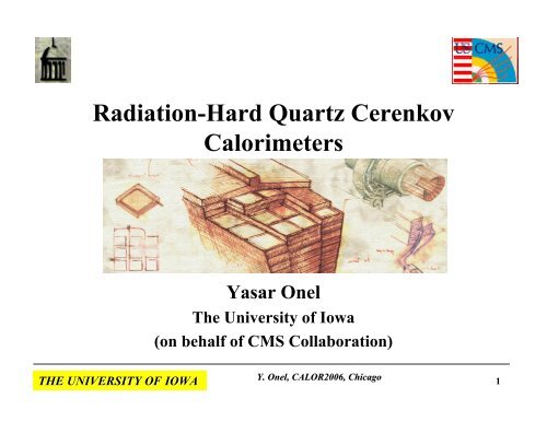 Radiation-Hard Quartz Cerenkov Calorimeters - The University of Iowa