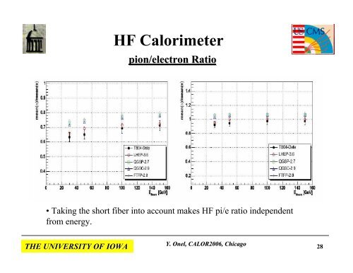 Radiation-Hard Quartz Cerenkov Calorimeters - The University of Iowa