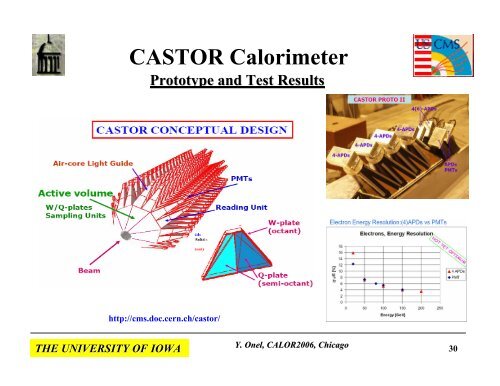 Radiation-Hard Quartz Cerenkov Calorimeters - The University of Iowa