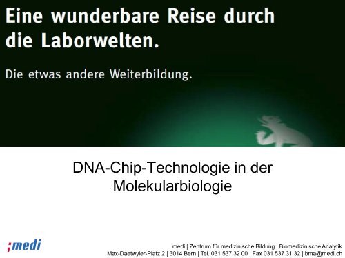 DNA-Chiptechnologie in der Molekularbiologie