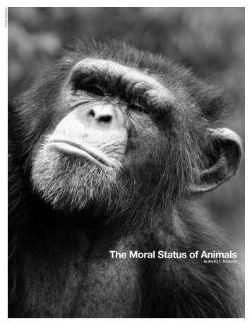 Download the PDF - Arcus Foundation