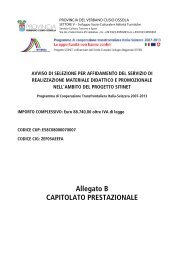 ALLEGATO B_CAPITOLATO.pdf - Provincia del Verbano Cusio Ossola