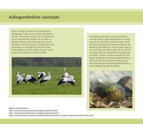 Broschüre "Natur Vielfalt Schwaben" - Regierung von Schwaben ...