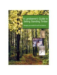 A Landowner's Guide to Selling Standing Timber - the Ontario ...