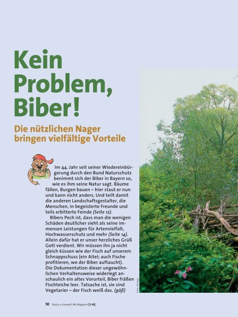 Natur + Umwelt - Bund Naturschutz in Bayern eV