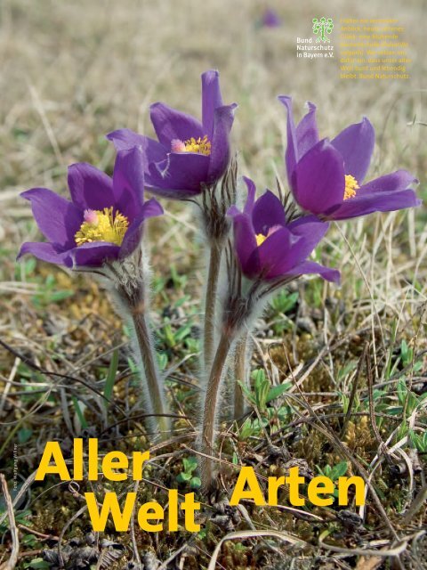 Natur + Umwelt - Bund Naturschutz in Bayern eV