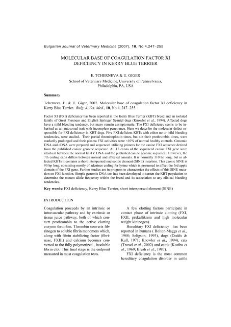 molecular base of coagulation factor xi deficiency in kerry blue terrier