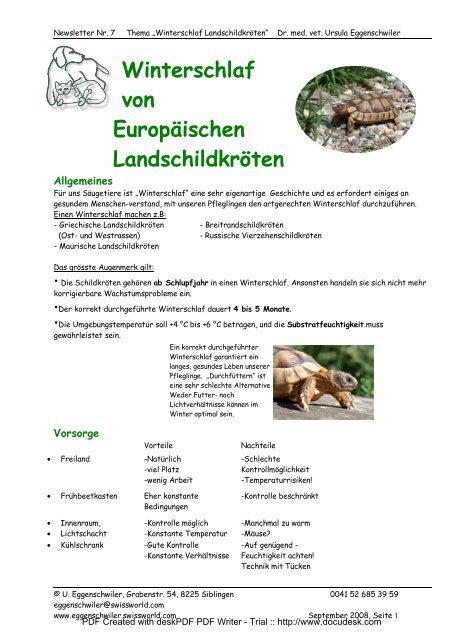 Winterschlaf von Europäischen Landschildkröten - Swissworld.com