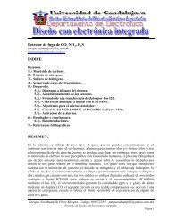 Detector de fuga de gases