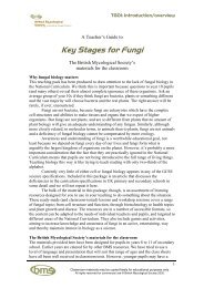 Key Stages for Fungi - fungi4schools
