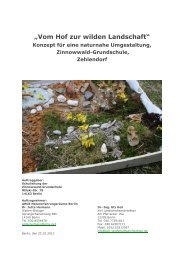 Konzept - Zinnowwald-Grundschule