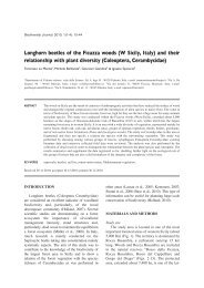 Longhorn beetles of the Ficuzza woods (W Sicily, Italy) - Biodiversity ...