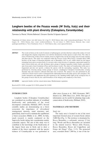 Longhorn beetles of the Ficuzza woods (W Sicily, Italy) - Biodiversity ...