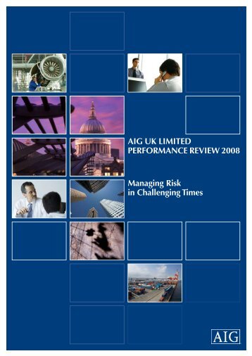 AIG UK lImIted PerformAnce revIew 2008 managing risk in ... - JLT